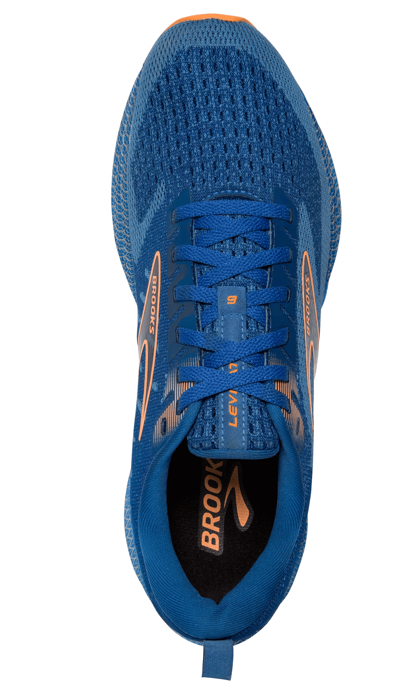 Brooks leviate 6 upper part