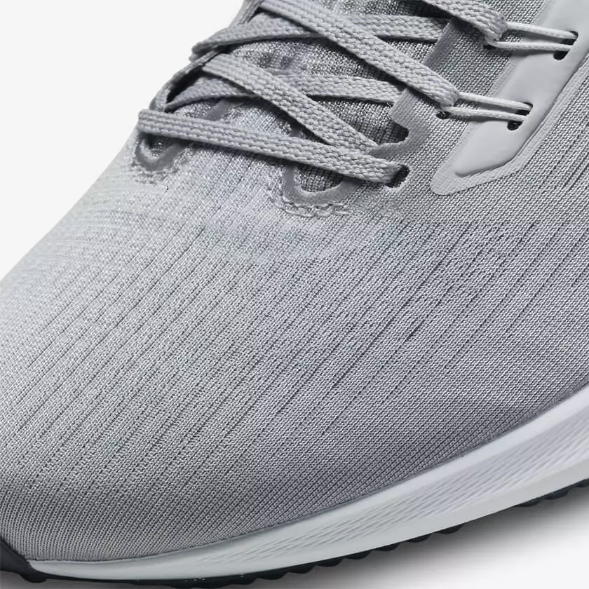Pegasus 39 laces
